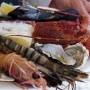Seafood