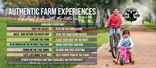 Great Authentic Farm Experiences