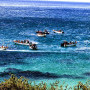 Black Marlin Restaurant Image 7