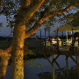 Cattle Baron Skukuza Grill & Bistro - Kruger National Park Image 13