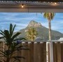 Chinchilla Image 8