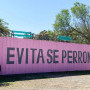 Evita Se Perron Image 14