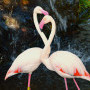 Fish Eagle Cafe Image 10