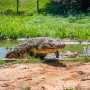 Fish Eagle Cafe Image 13