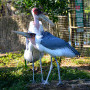 Fish Eagle Cafe Image 15