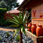 Fish Eagle Cafe Image 1