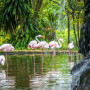Fish Eagle Cafe Image 6