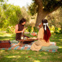 Hazendal Wine Estate Image 14