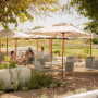 Hazendal Wine Estate Image 6