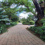 Idle Winds Lodge and Conference Centre Image 4