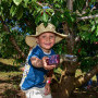 Ionia Cherry Farmstall Image 2