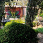 Steam Cafe & Restaurant Image 7