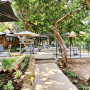 Thanda Manzi Country Hotel & Restaurant Image 5