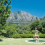 The Restaurant at the Vineyard Hotel Image 10