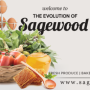 Sagewood Cafe, Nourish to Flourish - The Evolution Of Sagewood Café!