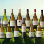 , Wine News: Top 20 finalists forecast an impressive Sauvignon Blanc SA Top 10