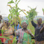 , In Togo, the African Development Bank-supported Agro-Food Processing Project hits its stride