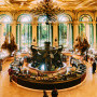 , The Palace of the Lost City Announces Exciting Culinary Partnership with Michelin-Starred Chef Jan Hendrik van der Westhuizen