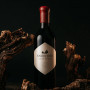 GATE at Quoin Rock, Knorhoek Cabernet Sauvignon 2021 Named Best in Show at Decanter World Wine Awards