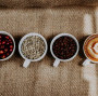 , KZN MEC Backs Coffee Sector with Ugu District Social Compact to Drive Growth on the South Coast
