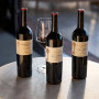 Ernie Els Wines Restaurant, A Rare Pour: Ernie Els CWG 2023 at the Cape Winemakers Guild Auction 2026