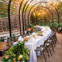 Babel Restaurant, What’s On in September at Babylonstoren
