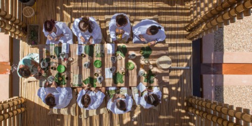 Tea Rituals in the Healing Garden