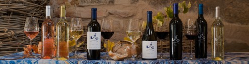 Join the Babylonstoren Wine Club