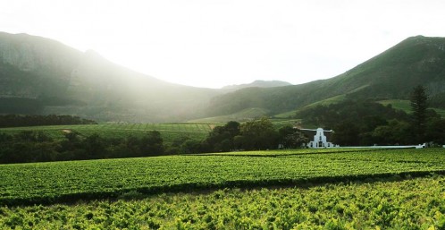 Food and Wine Pairing with Groot Constantia