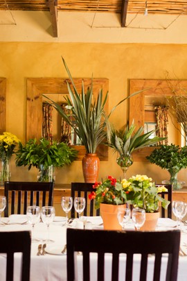 If You have a Taste for Tuscany