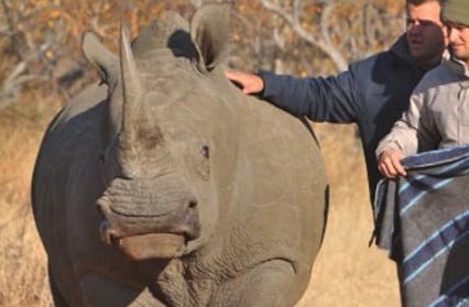World Rhino Day Event with Mark Boucher