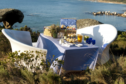 Summer Picnics