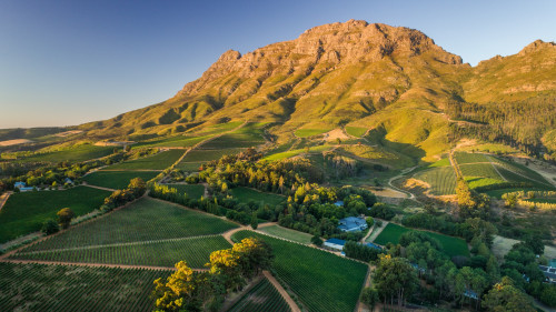 Thelema Food & Wine Dinner - 29 March 2019