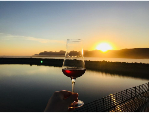 Friday Evening Sundowners