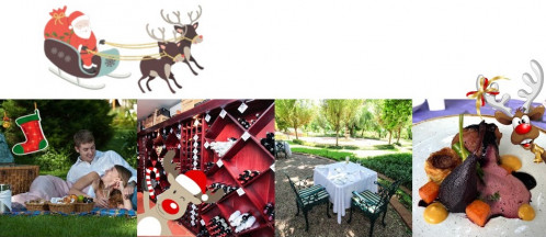 Festive and Christmas Packages