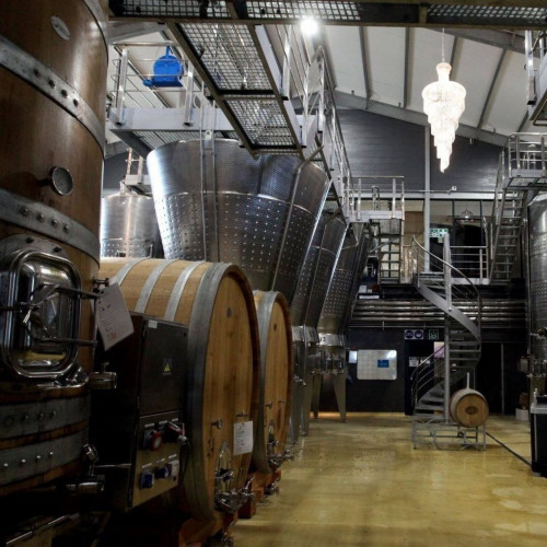Cellar Tours