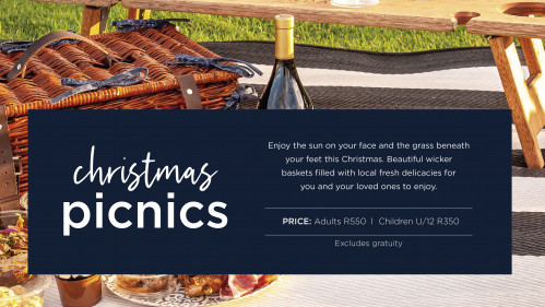 Christmas Picnics at Hazendal