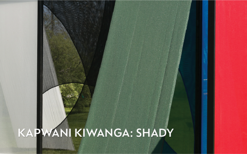 Kapwani Kiwanga: Shady