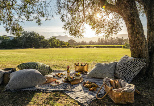 Family-Friendly Picnics at Nederburg