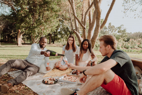 Picnics and Takeaways