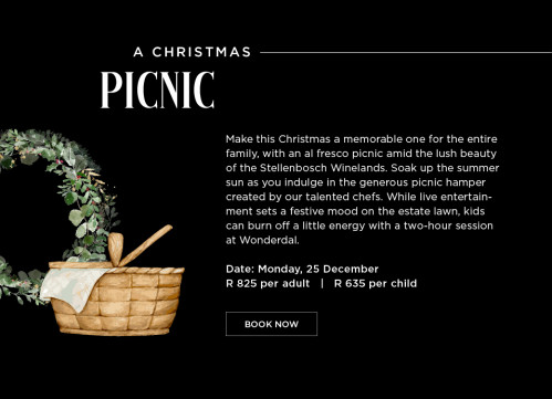 A Christmas Picnic - 25 December 2023