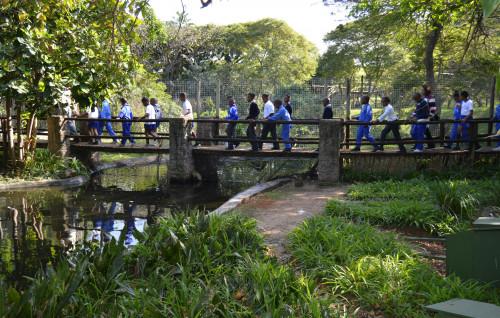 Creche, School and University Tours