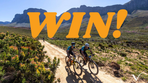 Win a Wines2Whales Team Entry, valued at R30 000!