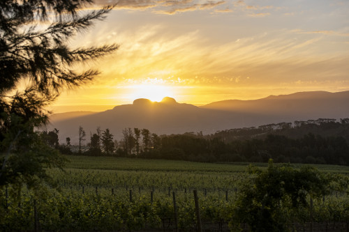 New Years Eve @ The Bistro