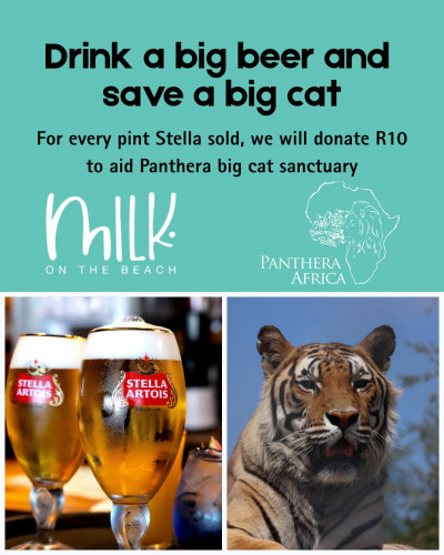 Drink a Big Beer, and save a Big Cat