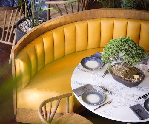 A Nikkei Valentine's Experience