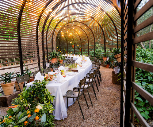 Events & Experiences at Babylonstoren