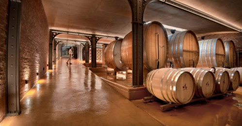 Cellar Tours