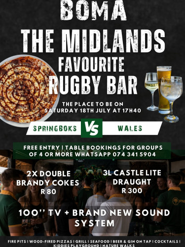 Springboks vs Wales