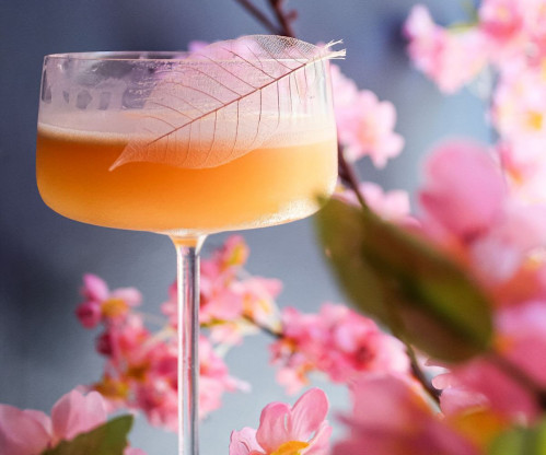 NOMIKAI - Late Night Happy Hour